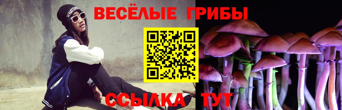 Псилоцибиновые грибы мицелий  Вход с VPN  Михайловск 